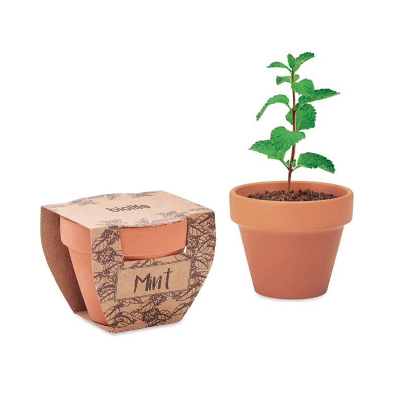 Terracotta potje mint | Eco geschenk